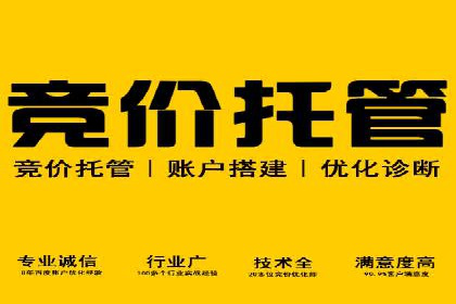 小红书信息流广告策略：成功案例解析